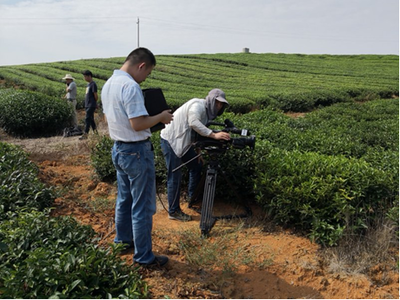 岳陽黃茶與白泥湖螃蟹亮相CCTV-7《農廣天地》攝制服務